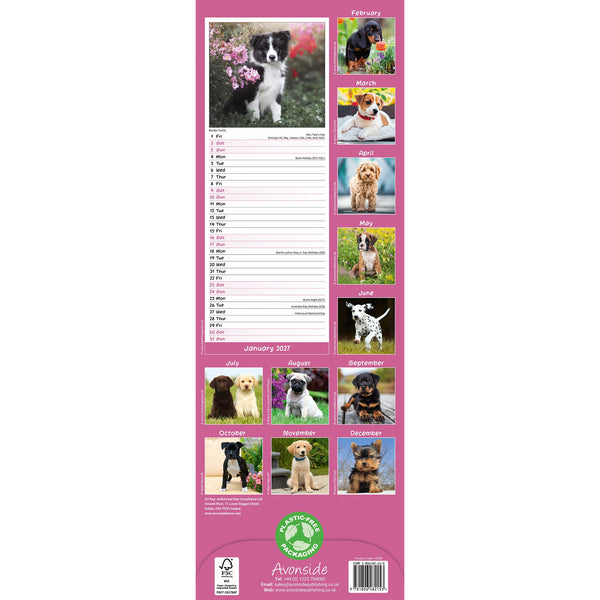 Puppies Calendar 2027 Slimline
