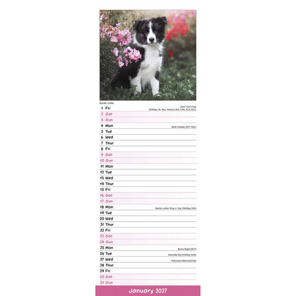 Puppies Calendar 2027 Slimline