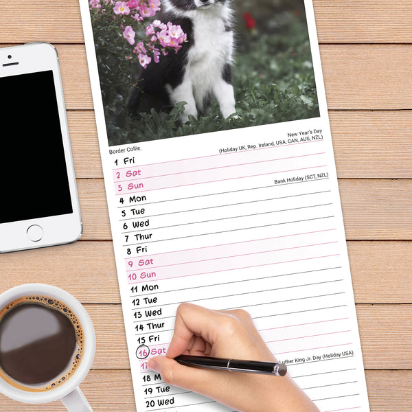 Puppies Calendar 2027 Slimline