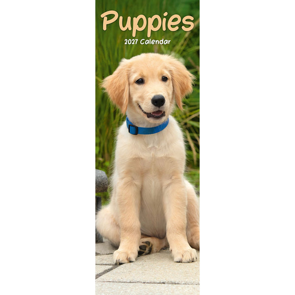 Puppies Calendar 2027 Slimline