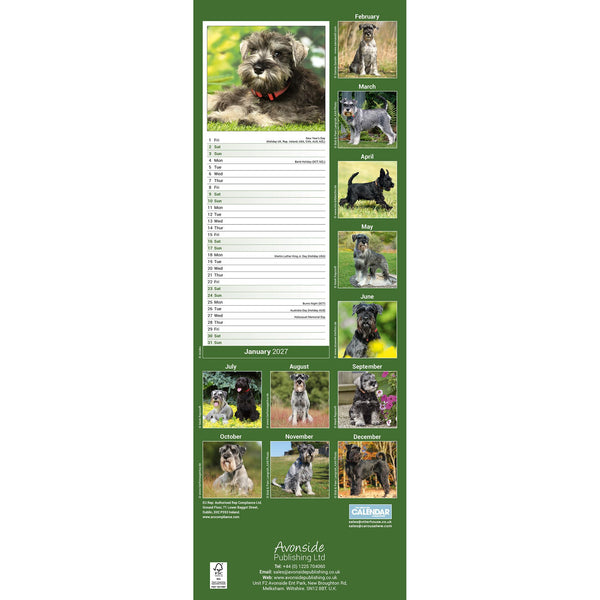 Schnauzer Calendar 2027 Slimline