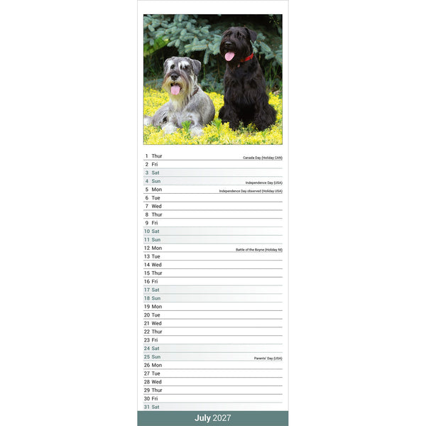 Schnauzer Calendar 2027 Slimline