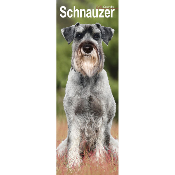 Schnauzer Calendar 2027 Slimline