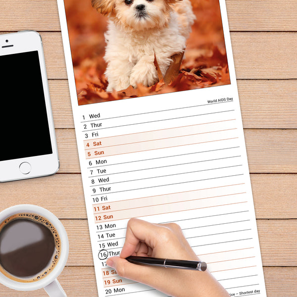 Shih Tzu Calendar 2027 Slimline