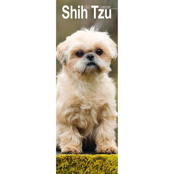 Shih Tzu Calendar 2027 Slimline