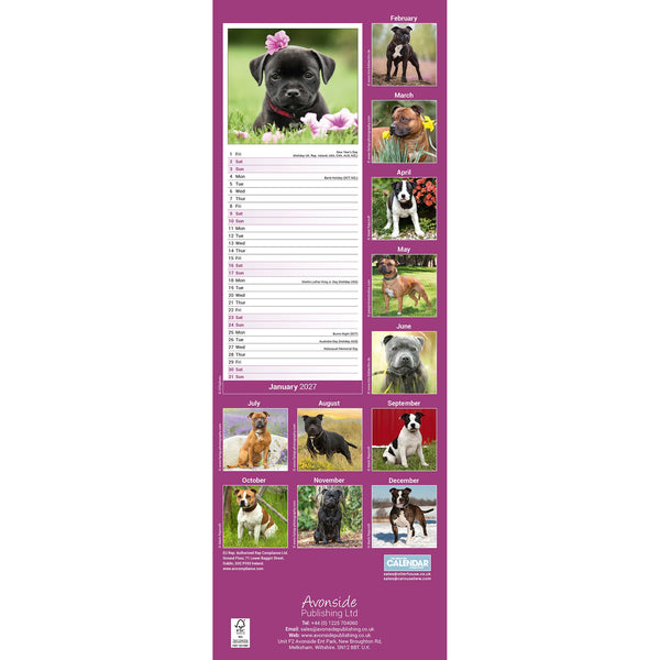 Staffordshire Bull Terrier Calendar 2027 Slimline