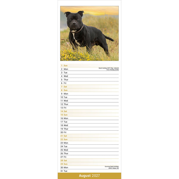 Staffordshire Bull Terrier Calendar 2027 Slimline