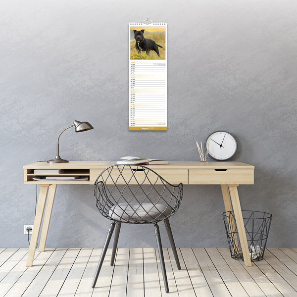 Staffordshire Bull Terrier Calendar 2027 Slimline