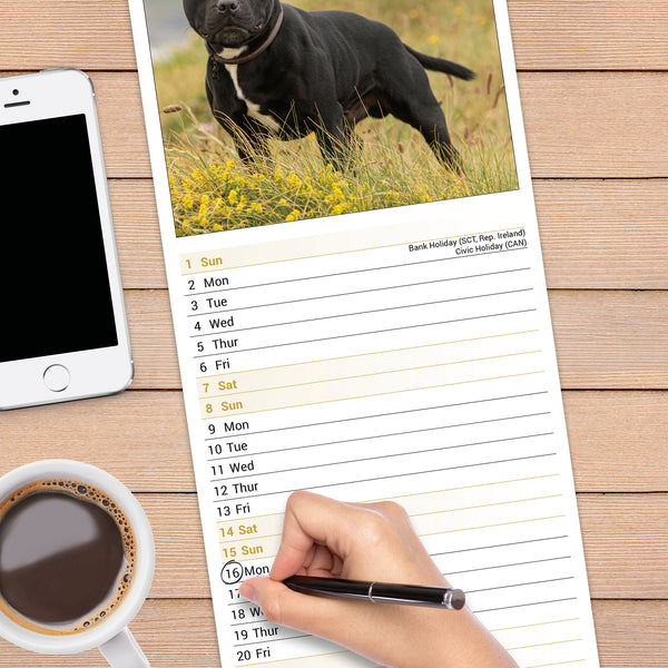 Staffordshire Bull Terrier Calendar 2027 Slimline