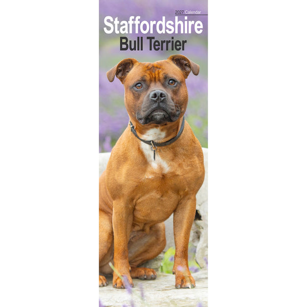 Staffordshire Bull Terrier Calendar 2027 Slimline