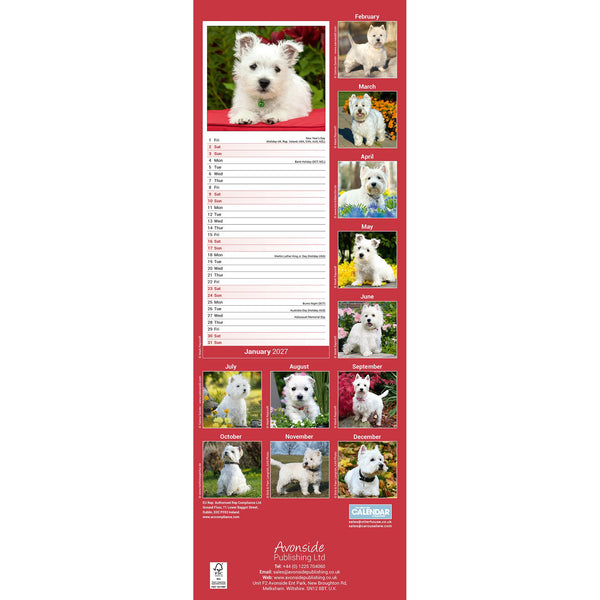 West Highland White Terrier Calendar 2027 Slimline