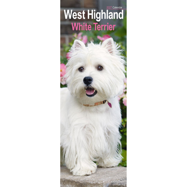 West Highland White Terrier Calendar 2027 Slimline