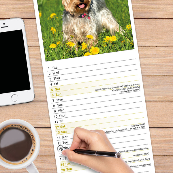 Yorkshire Terrier Calendar 2027 Slimline