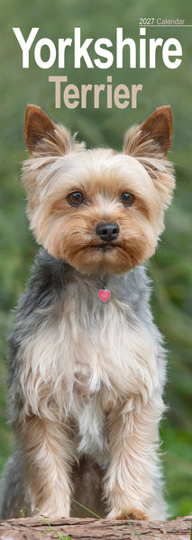 Yorkshire Terrier Calendar 2027 Slimline
