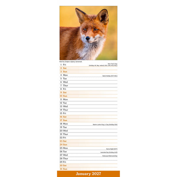 British Wildlife Calendar 2027 Slimline