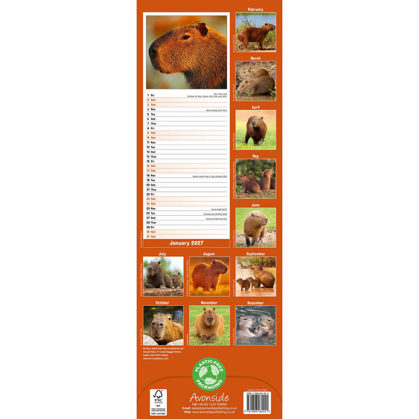 Capybara Calendar 2027 Slimline