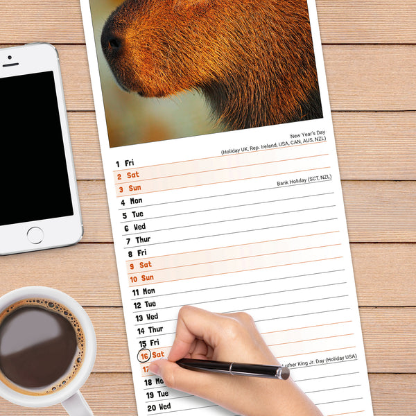 Capybara Calendar 2027 Slimline