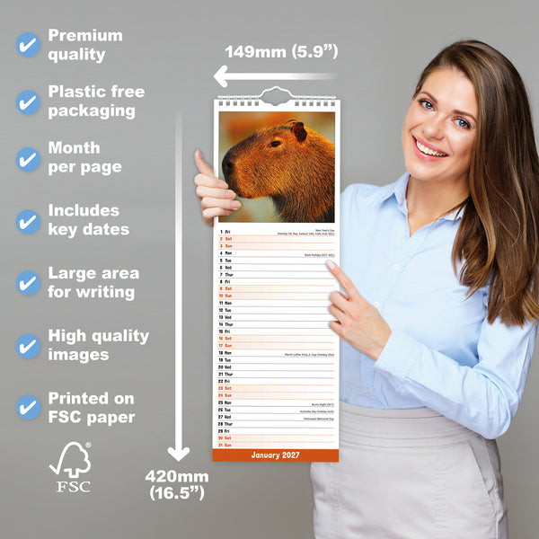 Capybara Calendar 2027 Slimline