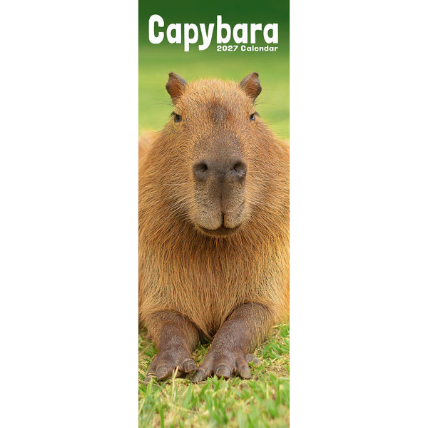 Capybara Calendar 2027 Slimline