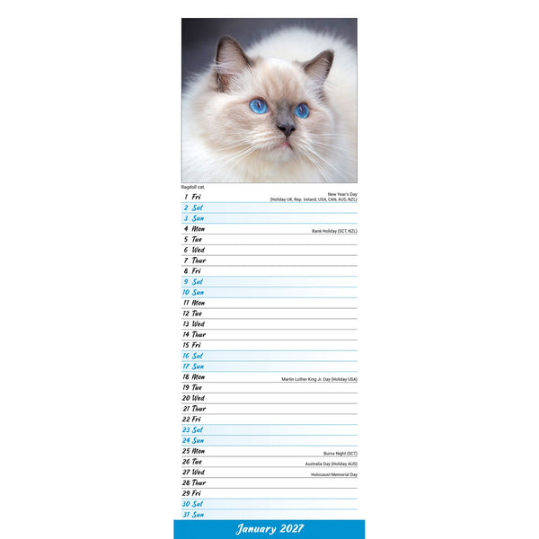 Cats Calendar 2027 Slimline