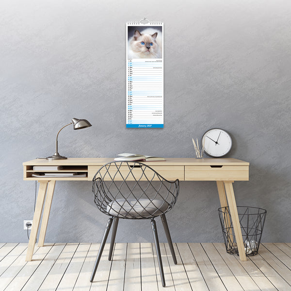 Cats Calendar 2027 Slimline