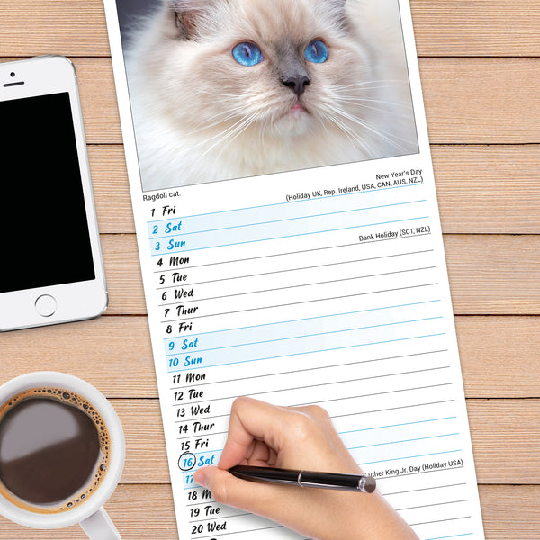Cats Calendar 2027 Slimline