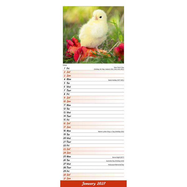 Chickens Calendar 2027 Slimline