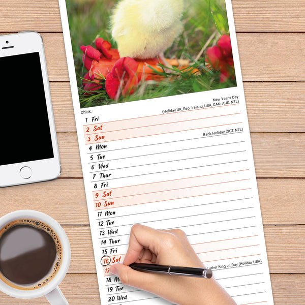 Chickens Calendar 2027 Slimline