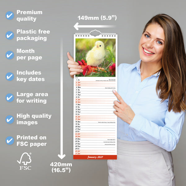 Chickens Calendar 2027 Slimline