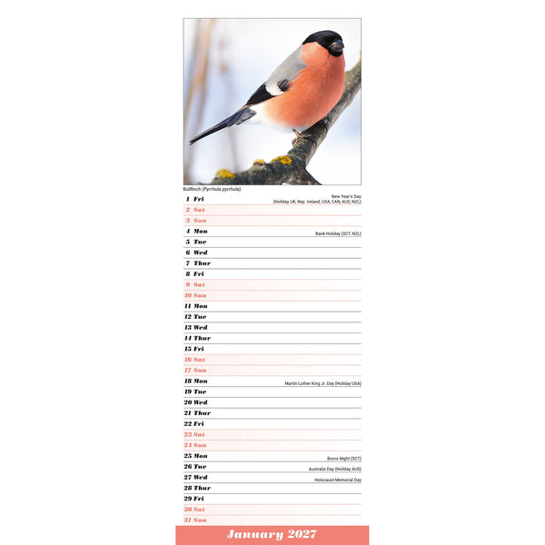 Garden Birds Calendar 2027 Slimline