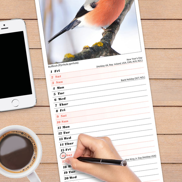 Garden Birds Calendar 2027 Slimline