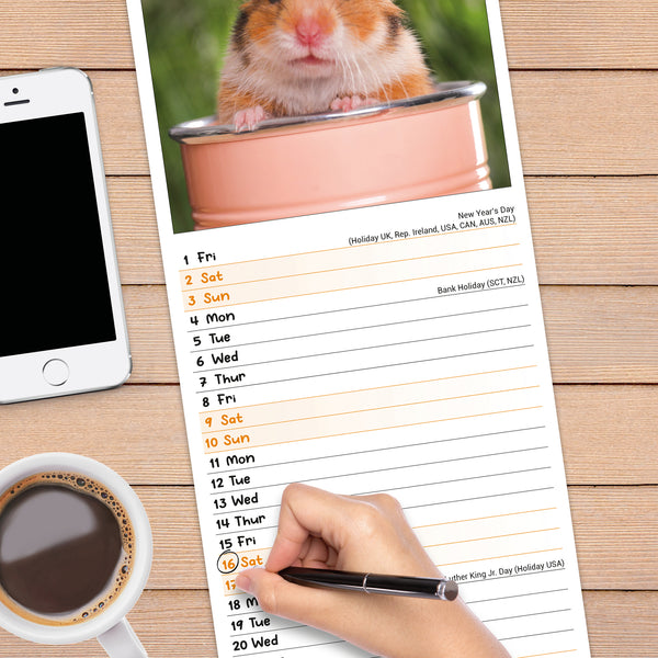 Hamsters Calendar 2027 Slimline