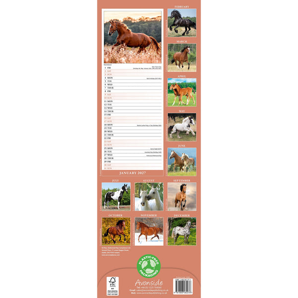 Horses Calendar 2027 Slimline