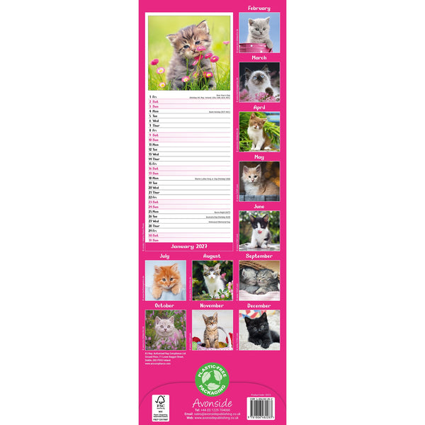 Kittens Calendar 2027 Slimline