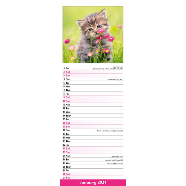 Kittens Calendar 2027 Slimline