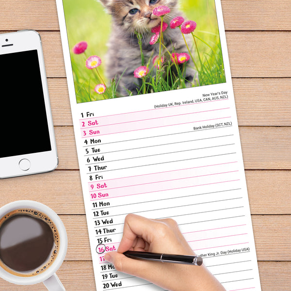 Kittens Calendar 2027 Slimline