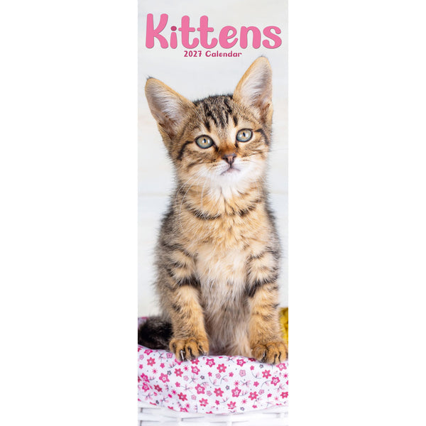 Kittens Calendar 2027 Slimline
