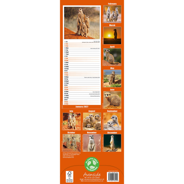 Meerkats Calendar 2027 Slimline