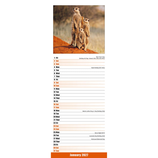 Meerkats Calendar 2027 Slimline
