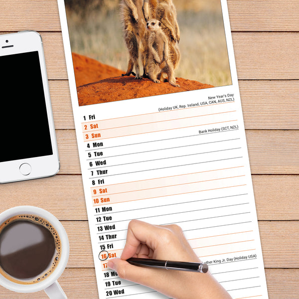 Meerkats Calendar 2027 Slimline