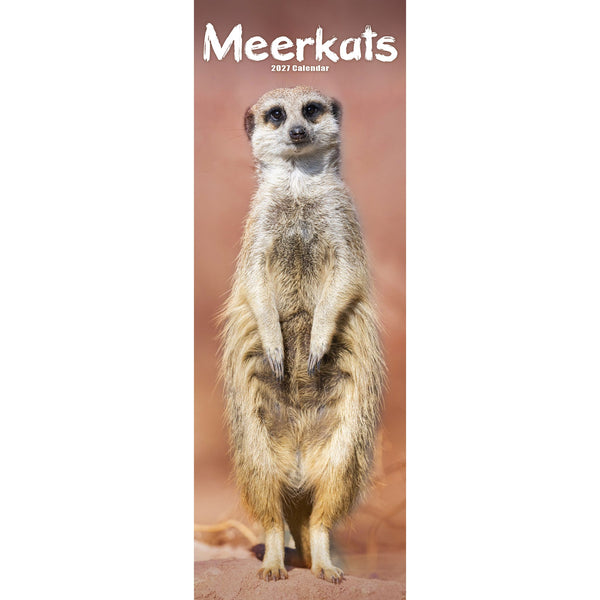 Meerkats Calendar 2027 Slimline
