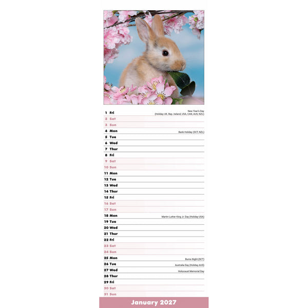 Rabbits Calendar 2027 Slimline