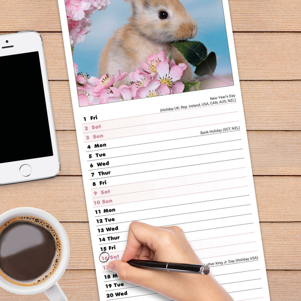 Rabbits Calendar 2027 Slimline