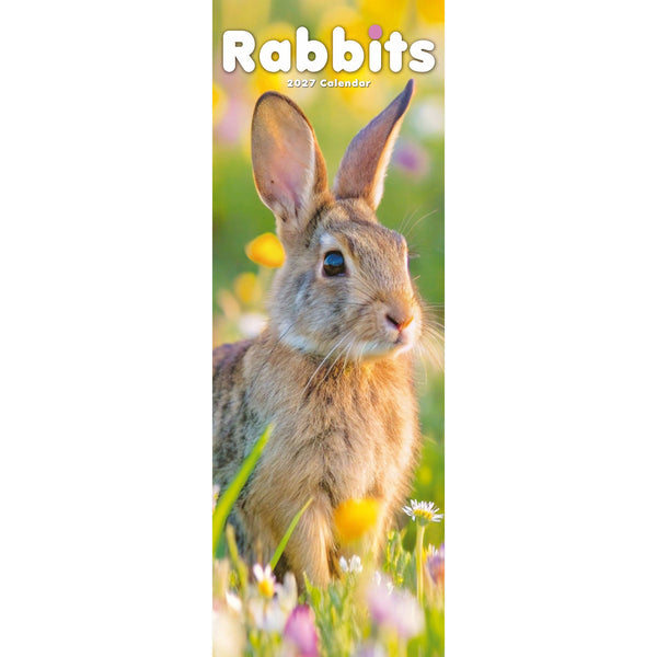 Rabbits Calendar 2027 Slimline