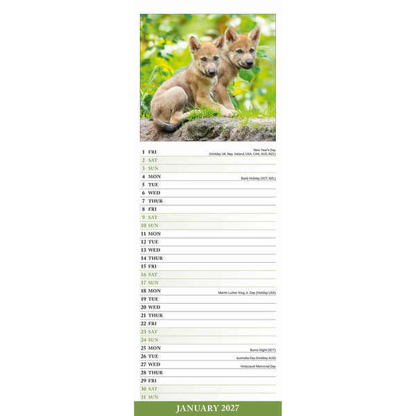Wolves Calendar 2027 Slimline