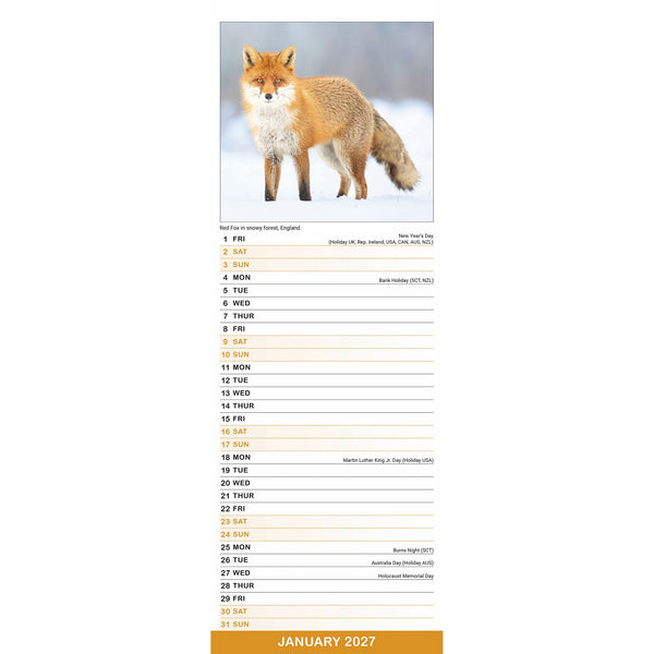 Seasons Calendar 2027 Slimline