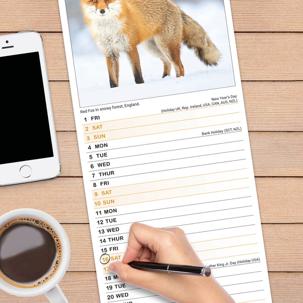 Seasons Calendar 2027 Slimline