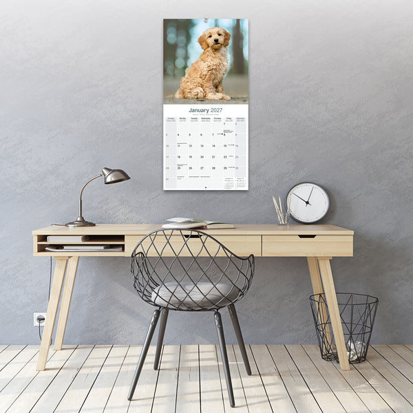 Goldendoodle Calendar 2027