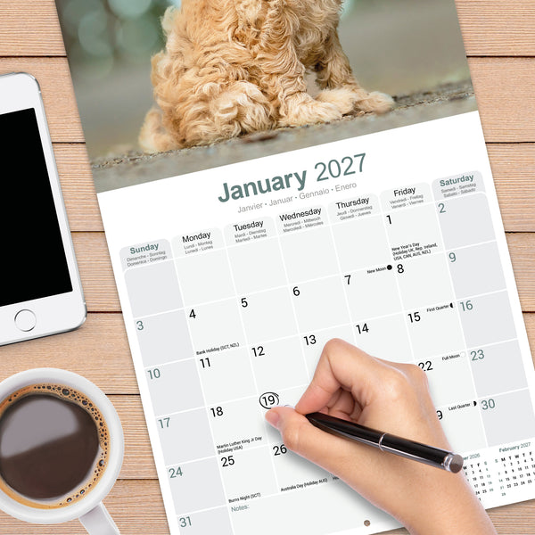 Goldendoodle Calendar 2027