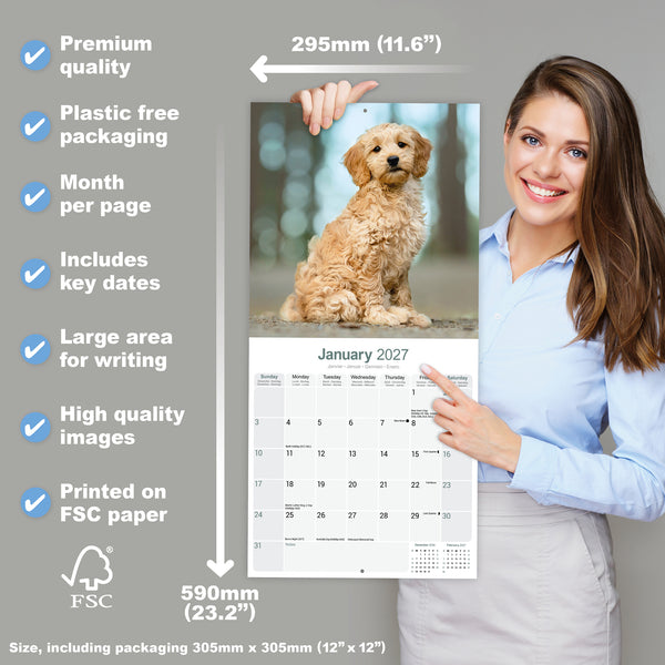 Goldendoodle Calendar 2027